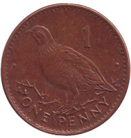 Монета 1 пенни. 2003 год, Гибралтар. Берберская куропатка. Монета 1 пенни. 2003 год, Гибралтар. Берберская куропатка.