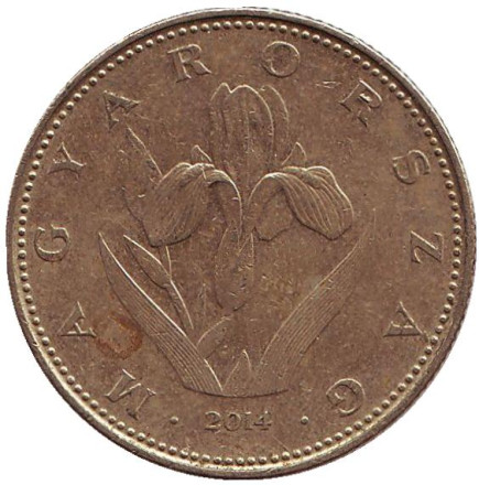Монета 20 форинтов. 2014 год, Венгрия. Венгерский ирис.