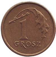 Дубовый лист. Монета 1 грош, 1992 год, Польша.