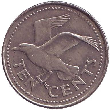 Монета 10 центов. 1995 год, Барбадос. Чайка.