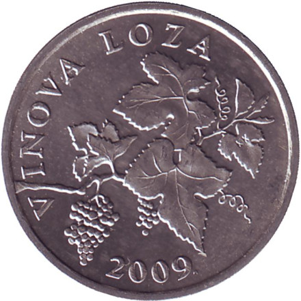 Монета 2 липы. 2009 год, Хорватия. Виноградная ветвь.