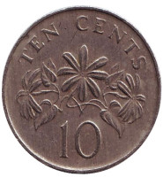 Жасмин. Монета 10 центов. 1991 год, Сингапур.