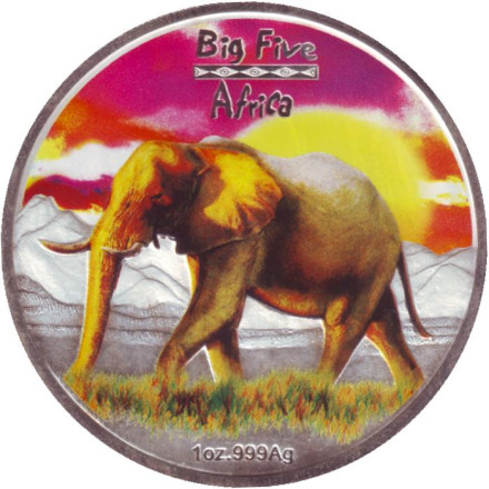 Монета 240 франков. 2008 год, Конго. Африканский слон. Большая пятёрка Африки.
