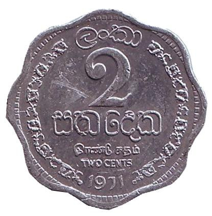 Монета 2 цента. 1971 год, Цейлон.
