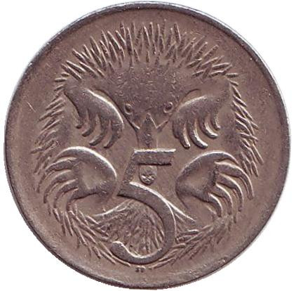 Монета 5 центов. 1966 год, Австралия. Ехидна.