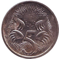 Ехидна. Монета 5 центов. 1991 год, Австралия.