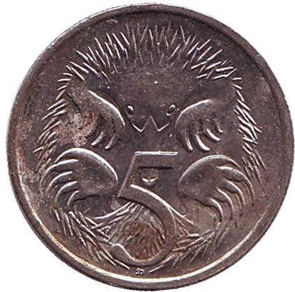 Монета 5 центов. 1991 год, Австралия. Ехидна.
