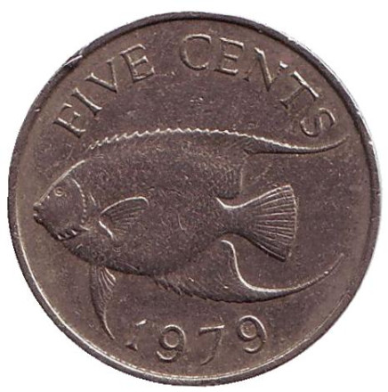 Монета 5 центов. 1979 год, Бермудские острова. Тропическая рыба (Ангел-королева).