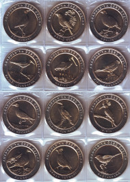 Птицы Анатолии. Набор из 12 монет. 1 куруш. 2019 год, Турция. Тип 1 (центр - латунь, кольцо - м/н).  Птицы Анатолии. Набор из 12 монет. 1 куруш. 2019 год, Турция. Тип 1 (центр - латунь, кольцо - м/н).