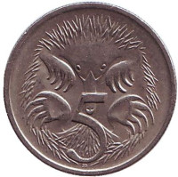 Ехидна. Монета 5 центов. 1998 год, Австралия.