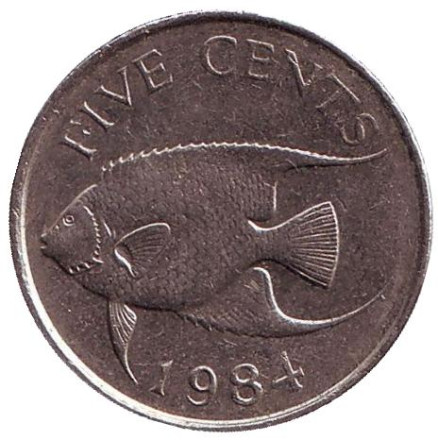 Монета 5 центов. 1984 год, Бермудские острова. Тропическая рыба (Ангел-королева).