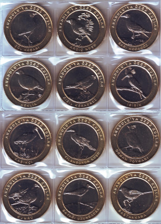 Птицы Анатолии. Набор из 12 монет. 1 куруш. 2019 год, Турция. Тип 2 (центр - м/н, кольцо - латунь). 