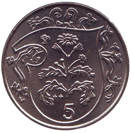 Монета 5 пенсов. 1985 год, Остров Мэн. (AA) Растение Крестовик.