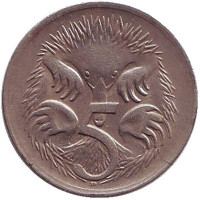 Ехидна. Монета 5 центов. 1970 год, Австралия.