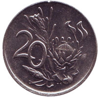 Цветок протея. Монета 20 центов. 1990 год, ЮАР. (никель)