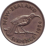 Монета 6 пенсов. 1954 год, Новая Зеландия. Гуйя. Монета 6 пенсов. 1954 год, Новая Зеландия. Гуйя.