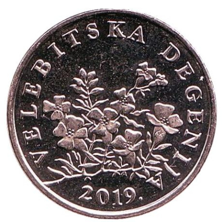 Монета 50 лип. 2019 год, Хорватия. Дегения велебитская.
