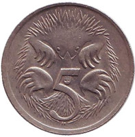 Ехидна. Монета 5 центов. 1973 год, Австралия.