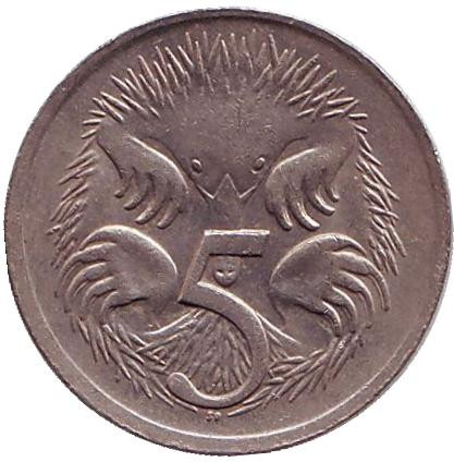 Монета 5 центов. 1973 год, Австралия. Ехидна.