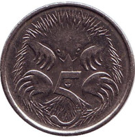Ехидна. Монета 5 центов. 2013 год, Австралия.