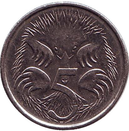 Монета 5 центов. 2013 год, Австралия. Ехидна.