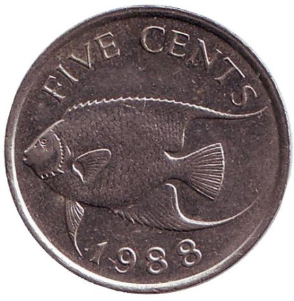 Монета 5 центов. 1988 год, Бермудские острова. Тропическая рыба (Ангел-королева).
