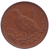 Берберская куропатка. Монета 1 пенни, 1993 год, Гибралтар.
