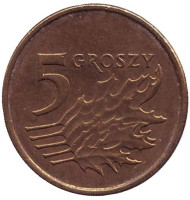 Монета 5 грошей. 2003 год, Польша. Дубовые листья. Монета 5 грошей. 2003 год, Польша. Дубовые листья.