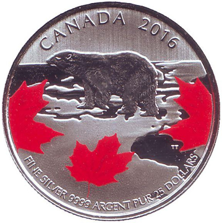 Монета 25 долларов. 2016 год, Канада. Полярный медведь. Истинный север.