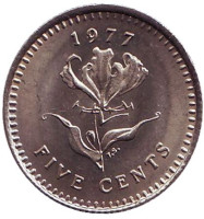 Глориоза (Пламенная лилия). Монета 5 центов. 1977 год, Родезия.