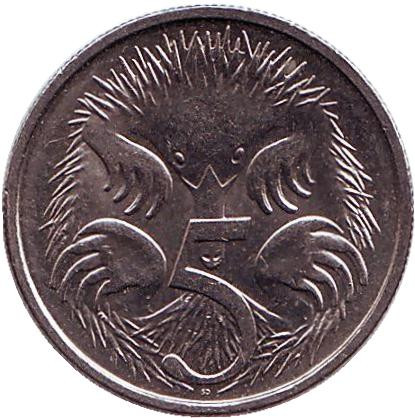 Монета 5 центов. 2014 год, Австралия. Ехидна.