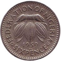 Какао-бобы. Монета 6 пенсов. 1959 год, Британская Нигерия.
