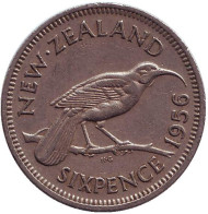 Монета 6 пенсов. 1956 год, Новая Зеландия. Гуйя. Монета 6 пенсов. 1956 год, Новая Зеландия. Гуйя.