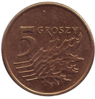 Монета 5 грошей. 2006 год, Польша. Дубовые листья. Монета 5 грошей. 2006 год, Польша. Дубовые листья.