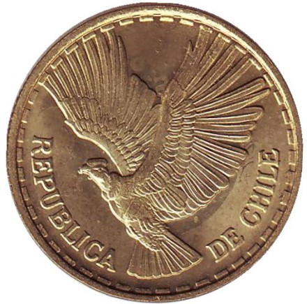 Монета 5 чентезимо. 1969 год, Чили. Кондор.