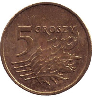 Монета 5 грошей. 2011 год, Польша. Дубовые листья. Монета 5 грошей. 2011 год, Польша. Дубовые листья.