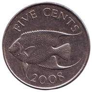 Монета 5 центов. 2008 год, Бермудские острова. Тропическая рыба (Ангел-королева). Монета 5 центов. 2008 год, Бермудские острова. Тропическая рыба (Ангел-королева).