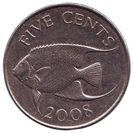 Монета 5 центов. 2008 год, Бермудские острова. Тропическая рыба (Ангел-королева).