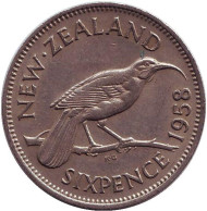 Монета 6 пенсов. 1958 год, Новая Зеландия. Гуйя. Монета 6 пенсов. 1958 год, Новая Зеландия. Гуйя.