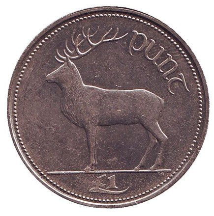Монета 1 фунт. 2000 год, Ирландия. Олень.
