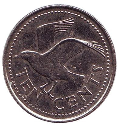Монета 10 центов. 2001 год, Барбадос. Чайка.