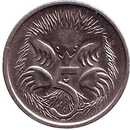 Монета 5 центов. 1990 год, Австралия. Ехидна.