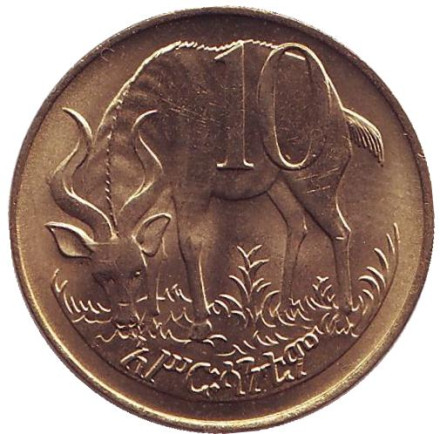 Монета 10 центов. 1977 год, Эфиопия. (Немагнитная) Горная антилопа.