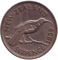 Монета 6 пенсов. 1959 год, Новая Зеландия. Гуйя. Монета 6 пенсов. 1959 год, Новая Зеландия. Гуйя.