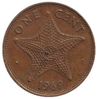 Морская звезда. Монета 1 цент. 1969 год, Багамские острова.