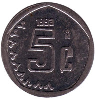 Монета 5 сентаво. 1993 год, Мексика. Монета 5 сентаво. 1993 год, Мексика.