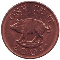Поросенок. Монета 1 цент, 2004 год, Бермудские острова.