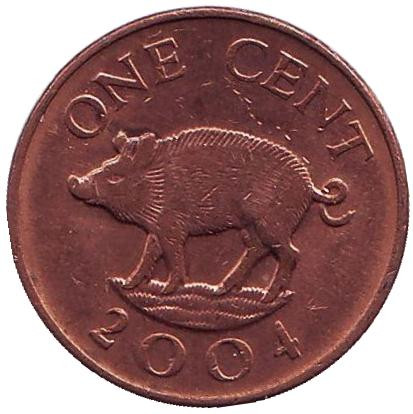 Монета 1 цент, 2004 год, Бермудские острова. Поросенок.