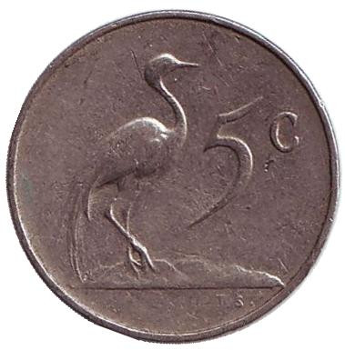 Монета 5 центов. 1967 год, Южная Африка. (Suid Afrika). Африканская красавка.