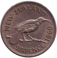 Монета 6 пенсов. 1960 год, Новая Зеландия. Гуйя. Монета 6 пенсов. 1960 год, Новая Зеландия. Гуйя.